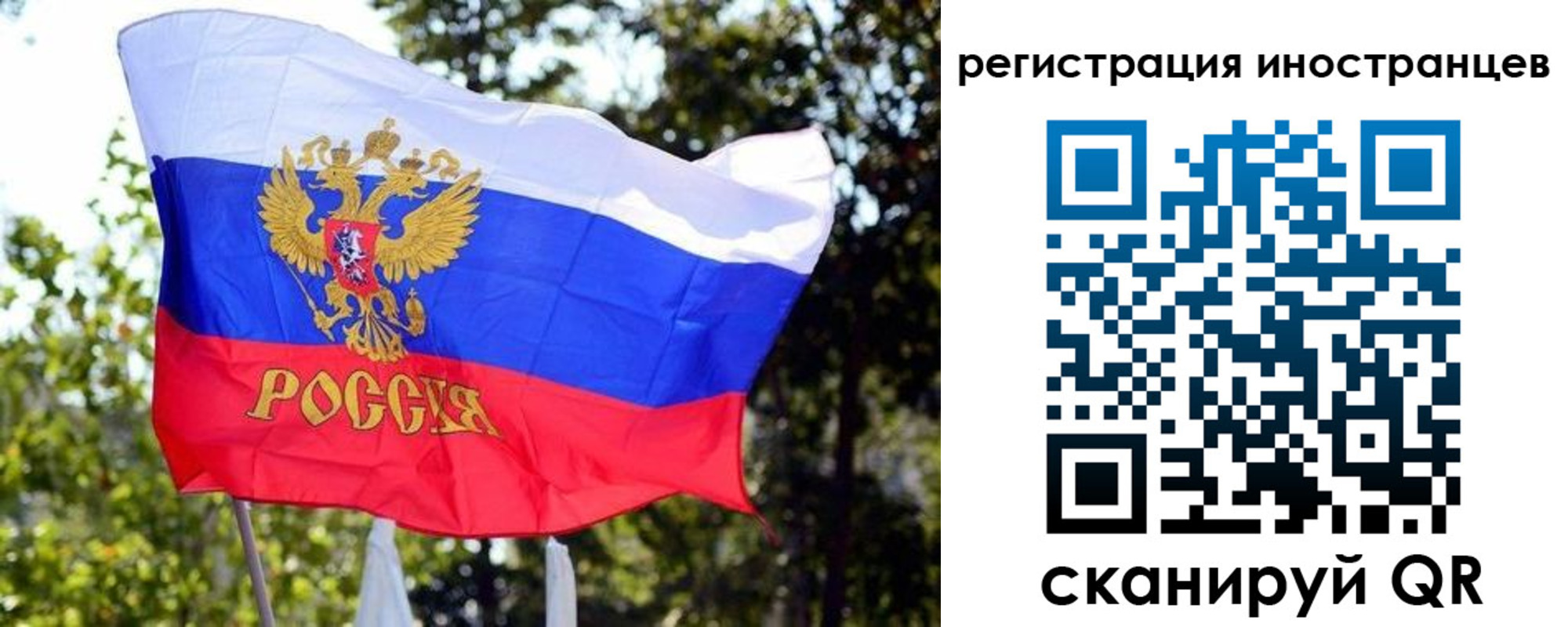 временная регистрация недорого в Брянске